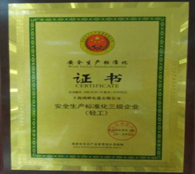 安全生产标准化证书